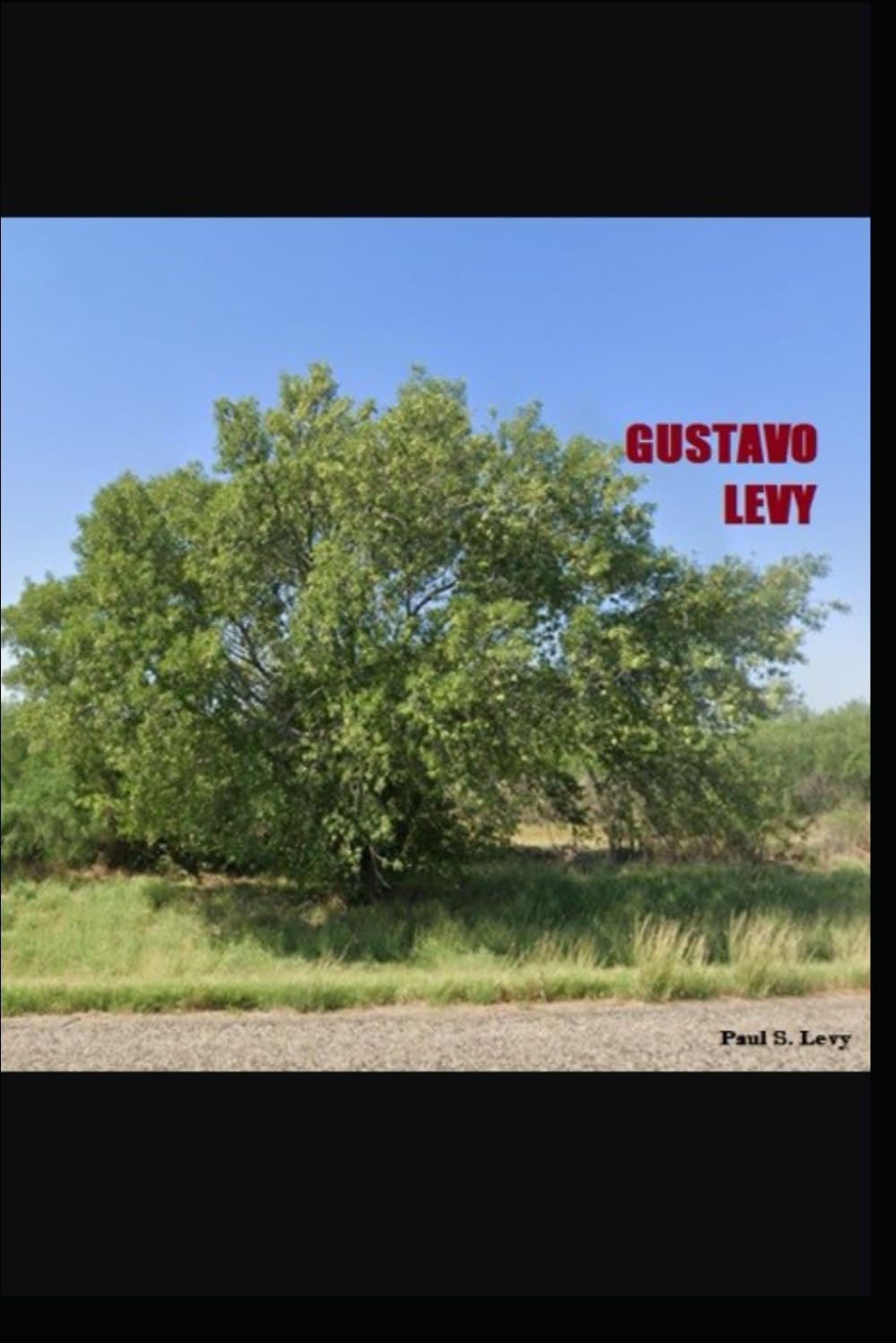 Gustavo Levy