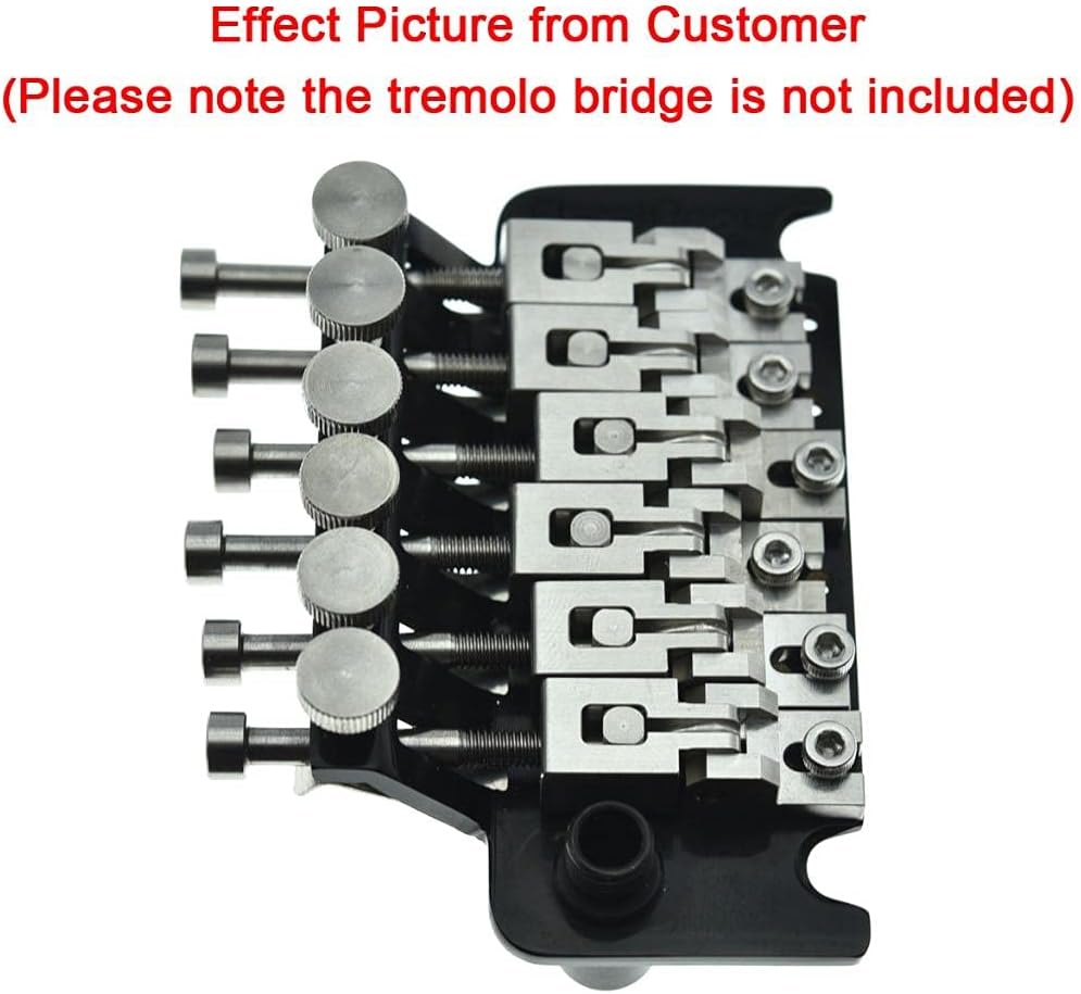 Dopro Guitar Stainless Steel Double Locking Tremolo Bridge Saddles and Screws for FR Tremolos