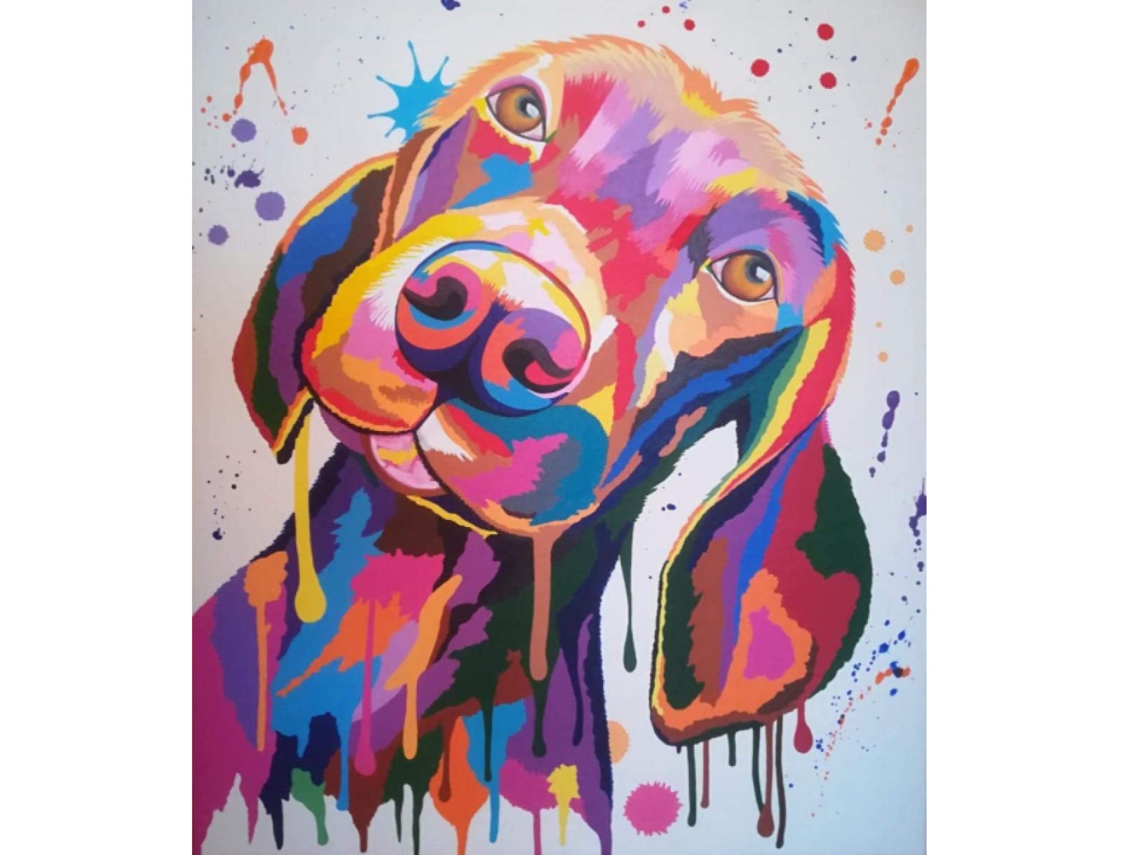 SanZez Diamond Painting,Weimaraner Dog,5D Diamond Art Kits for Adults,Mosaic Crystal Craft Kits for Home Wall Decor 50x60cm