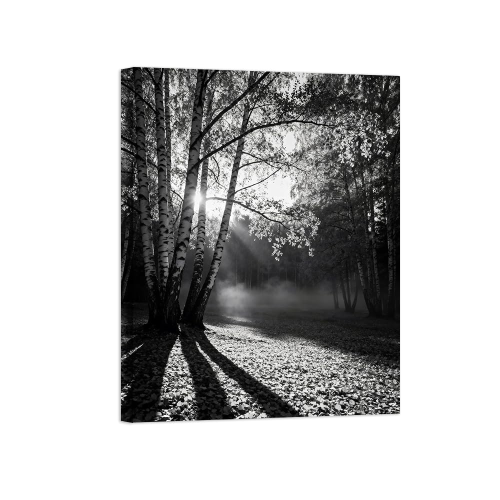 Black White Landscape Wall Art. Tree Meadow. Picture 50x65cm Unframed