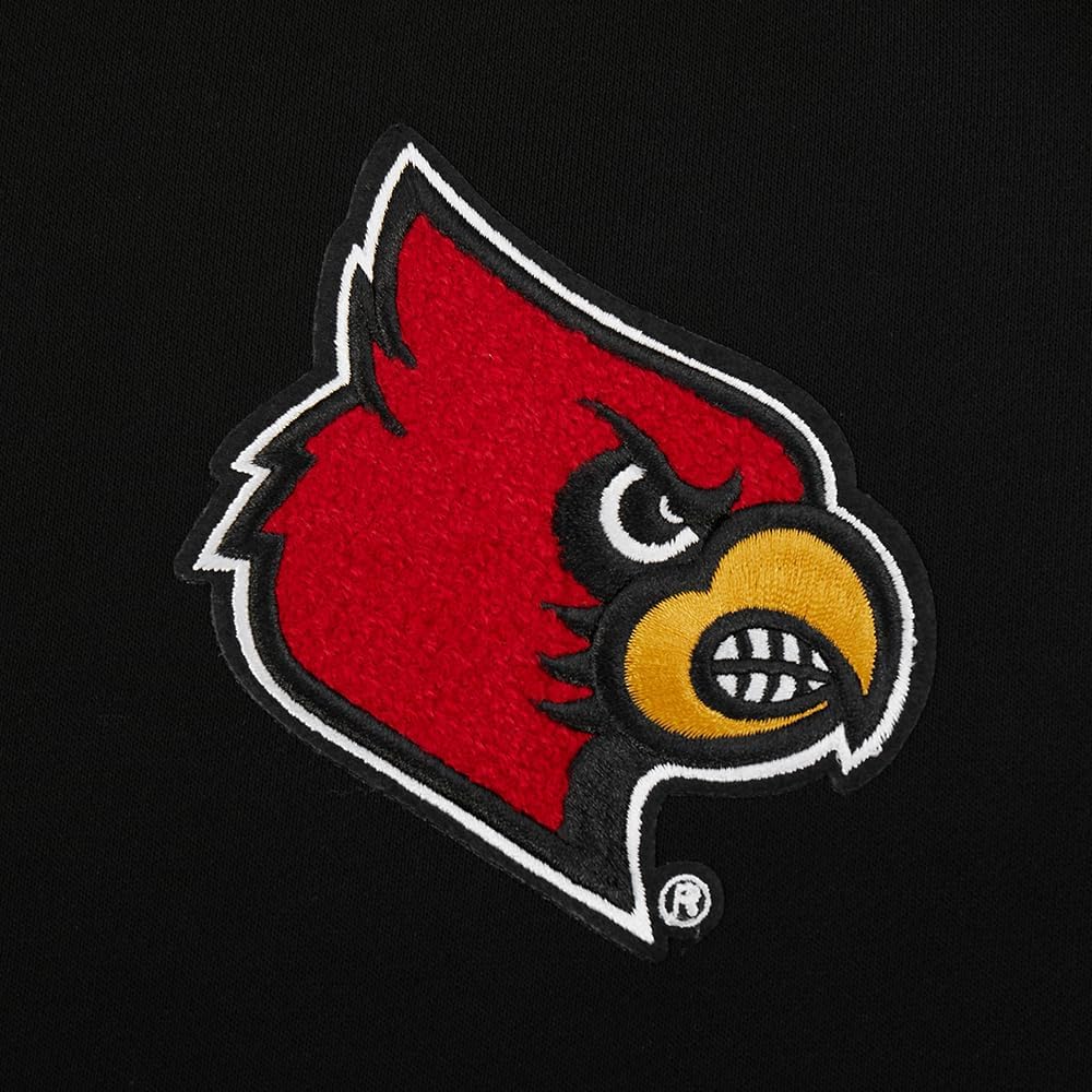 Pro Standard NCAA womens Womens College Classic Chenille Brushed Back French Terry Crewneck Sweatshirt - Image 6