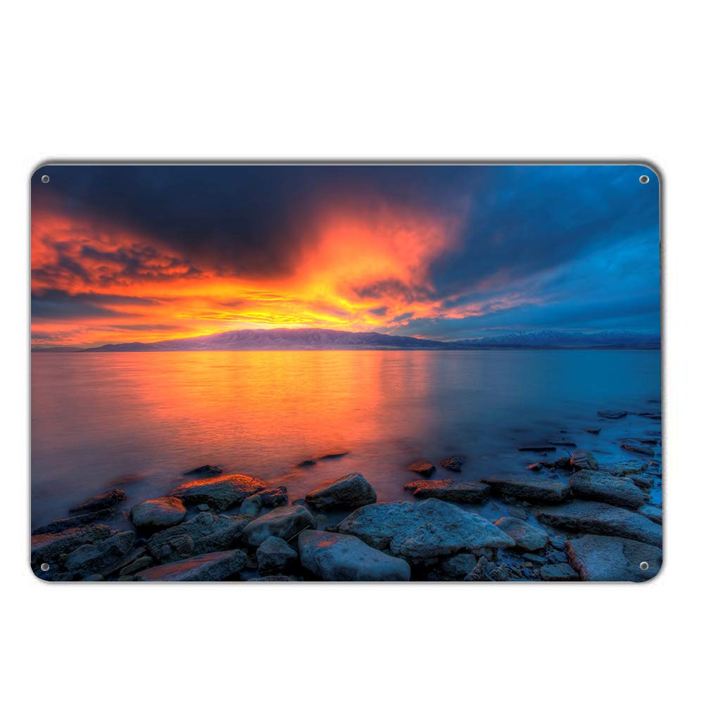 License Plate Signs Vehicle Sign Personalized 3D Cloud Sea Reef Decorative Front Plate Home Bathroom Pub Bar Wall Decor 12"x8"