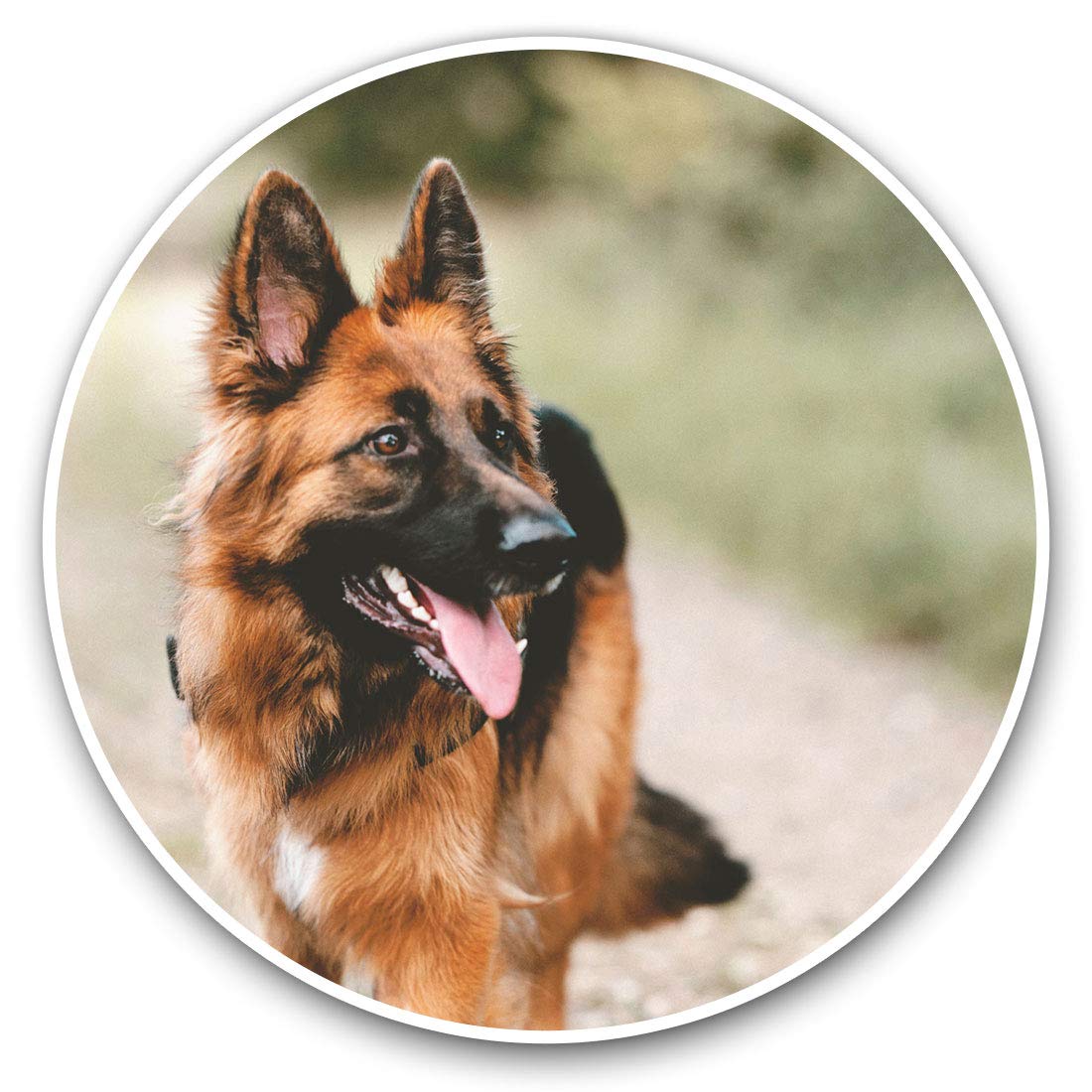 Destination Vinyl Ltd German Shepherd Alsatian Dog 12548 Vinyl Stickers (Set Of 2) 7.5Cm - German Shepherd Alsatian Dog #12548