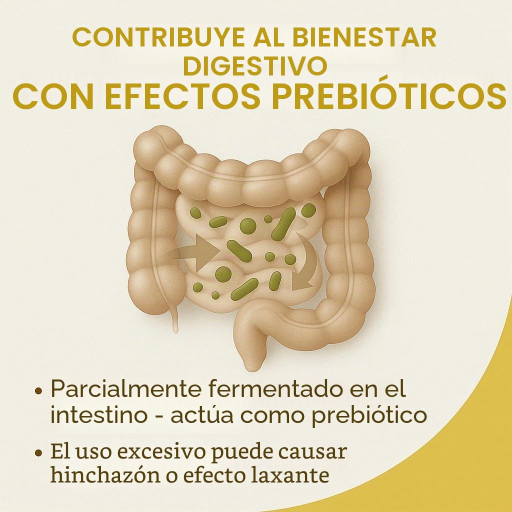 GiDeli Xilitol Azúcar Original de Finlandia 5kg en cubo de azúcar de abedul sustituto de alimentos como vegano y edulcorante dental