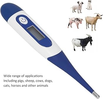 Amazon.co.jp: DUHJ 獣医用体温計、馬用長寿命耐摩耗性電子