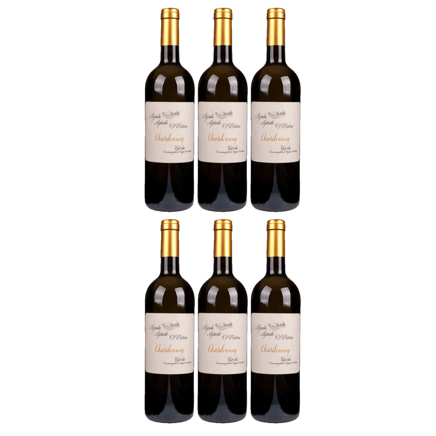 Zenato Santa Cristina Chardonnay Weiss Weisswein Trocken Italien inkl. FeinWert E-Book (6 x 0,75l)