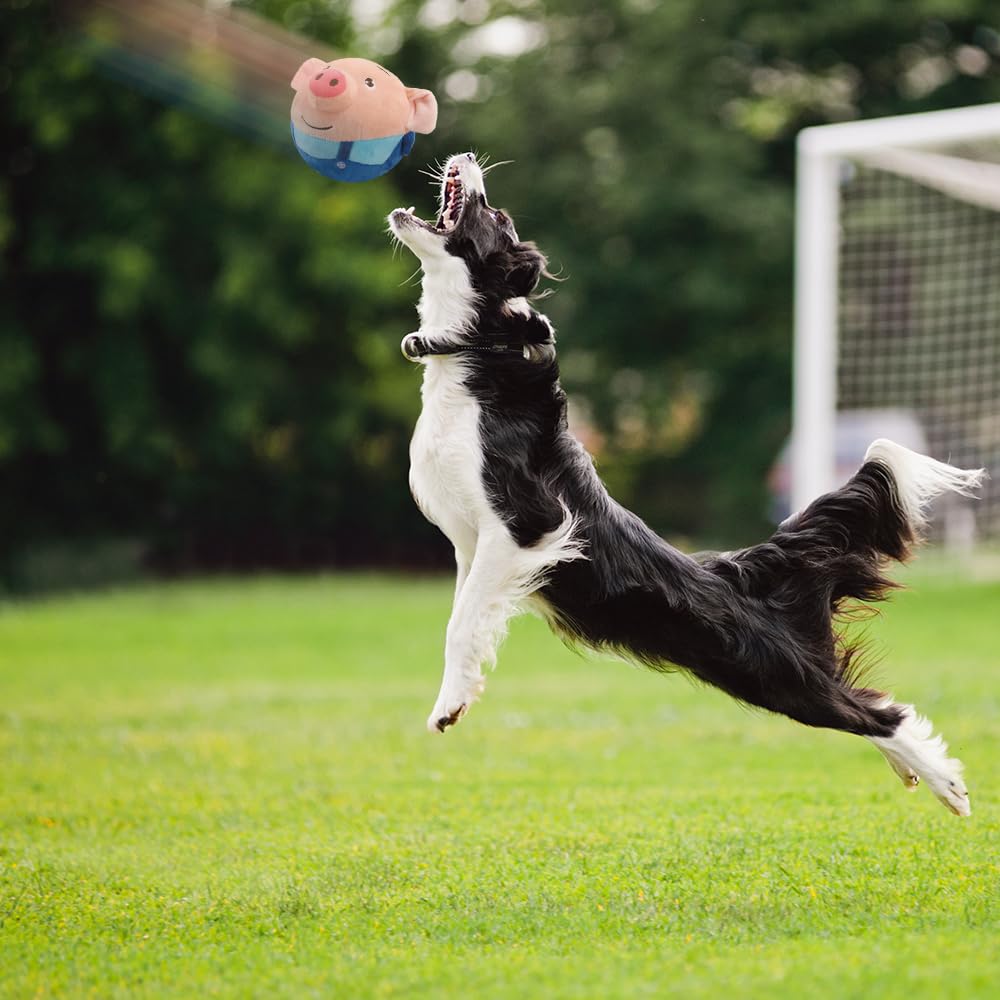 APODESS Springball Für Hunde - Interaktives Hundespielzeug Mit USB-Ladung 2025 Neu