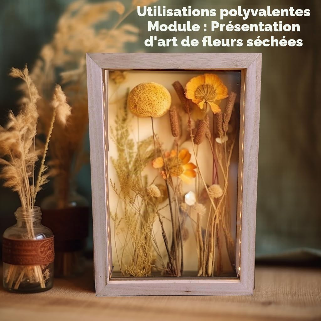 Boîte d'Ombre en Bois Naturel Rustique de 8"X11" avec Éclairage, Présentoir à LED pour Bouchons de Vin, Billets et Expositions Créatives, Présentations Artistiques