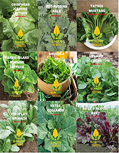 Greens Seeds Collection, 2500+ Seeds, 9 Heirloom Varieties, Arugula, Beet, Upland Cress, Vates Collard, Red Russian Kale, Crisphead Lettuce, Parris Island Lettuce, Tatsoi Mustard, Viroflay Spinach - Image 4