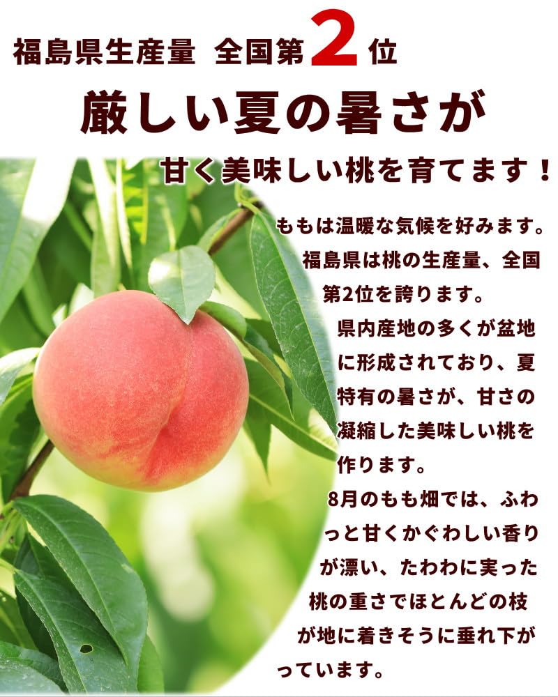 Amazon.co.jp: 福島県産 あかつき桃 秀品 3kg (9～11玉) 贈答用 : 食品