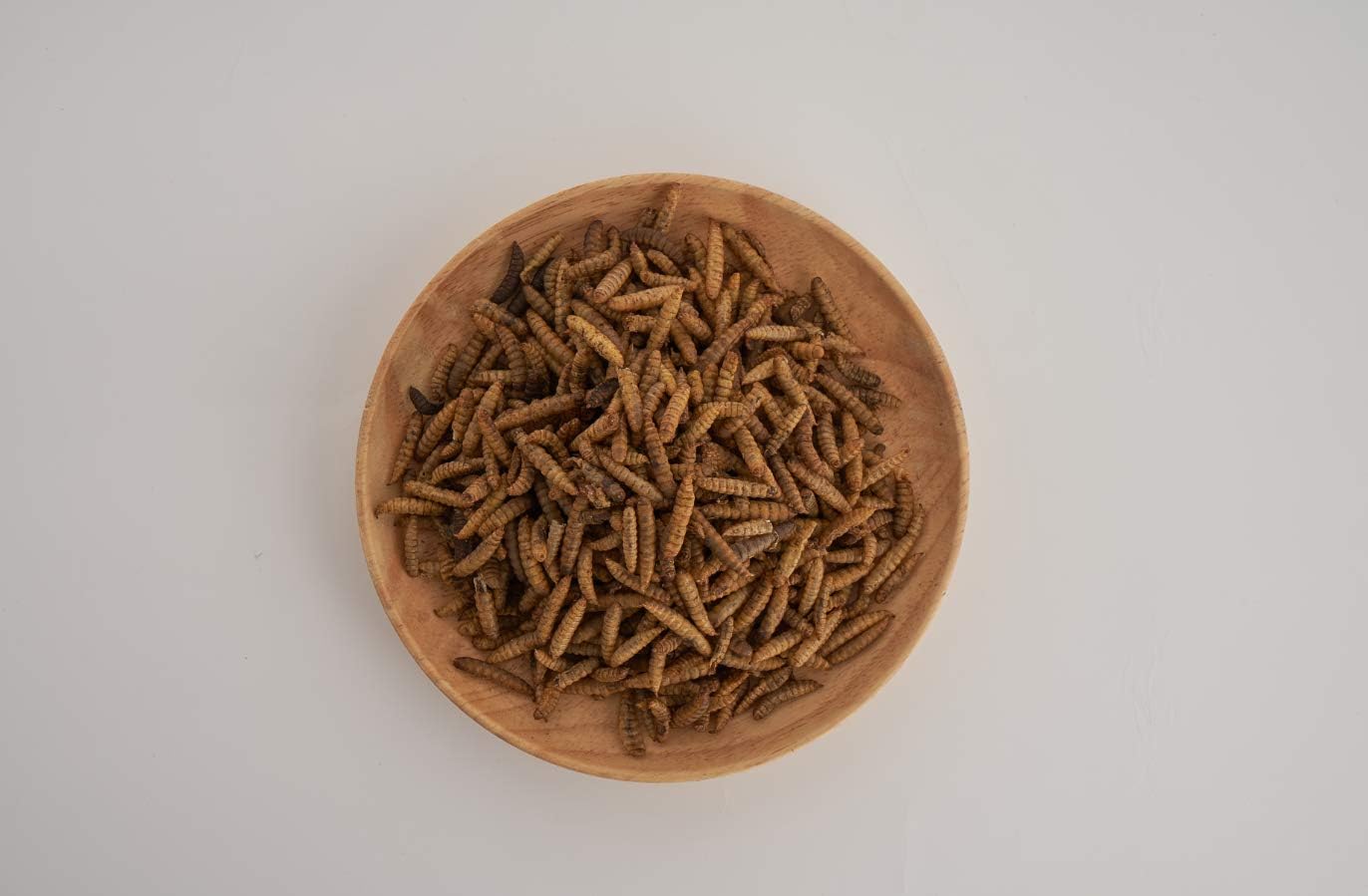 KIMOE Non-GMO Fly Larvae 5lbs for Wild Bird,Chicken More Calcium Than Dried Mealworms : Patio, Lawn & Garden