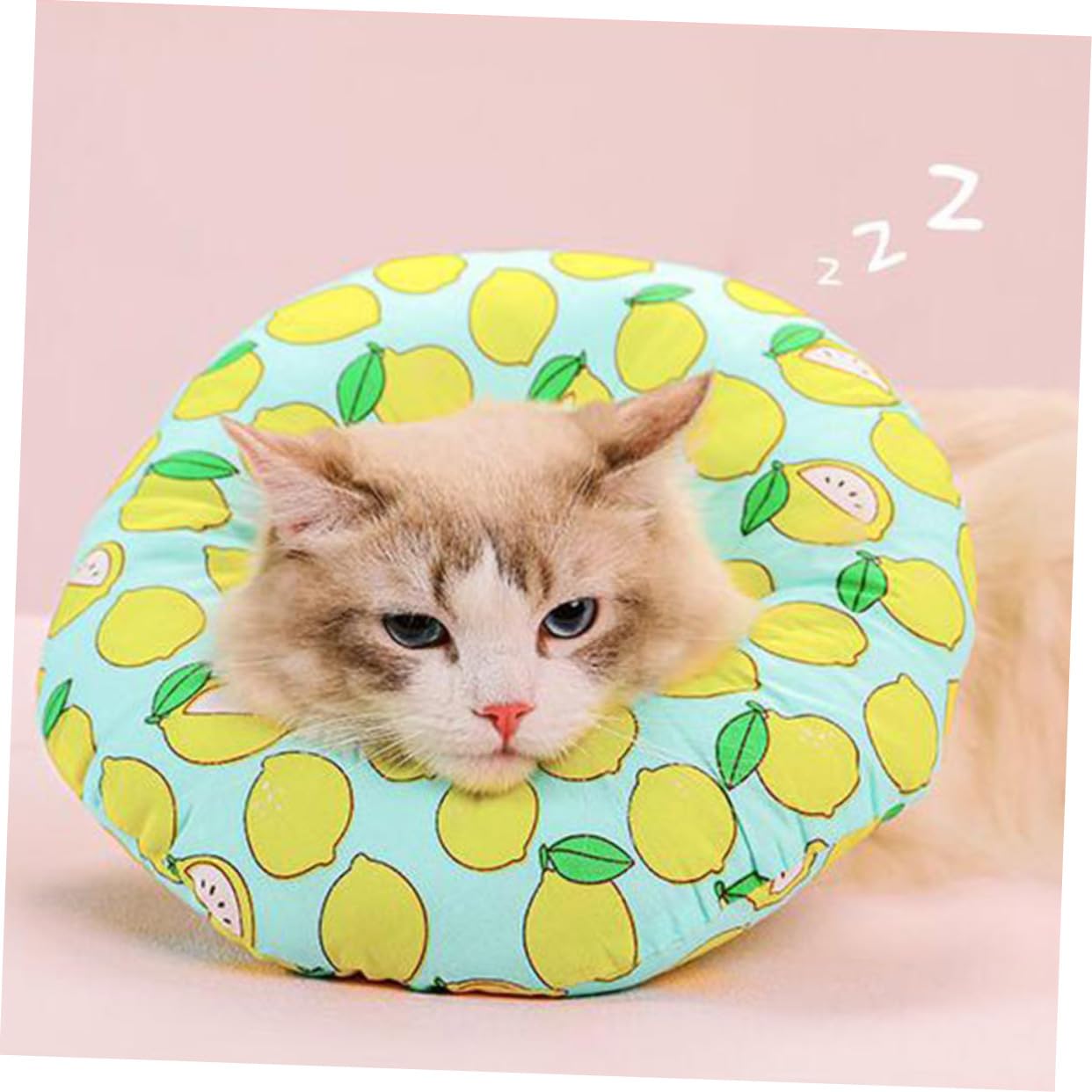Didiseaon 3 Pezzi Cono Gonfiabile Per Cani Collare Per Collo A Cono Gatto Per Cani Coni Per Per Di Taglia Per Animali Domestici Cuscino Per Collo Per Animali Domestici