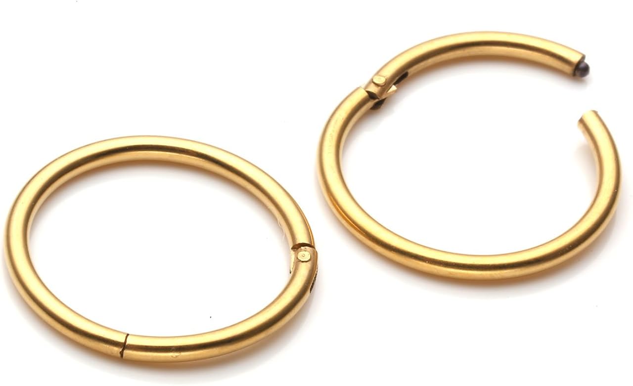 PiercingJak 6-8pcs 16G Stainless Steel Clip on Closure Round Ring Tragus Cartilage Nose Hoop Earring Hoop Septum Piercing 6-10mm - Image 5
