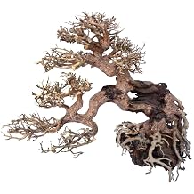 Amtra Croci Wood Oriental Wind 7 Small 1 Count 21 g, 25 X 10 X 20 cm