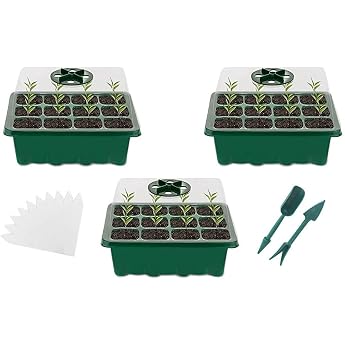 Indoor Greenhouse Propagator 3 Pieces Germination Trays with Lid Mini Greenhouse Propagation Set Seedling Starter Trays Greenhouse Propagation Tray with 2 Garden Tools 10 Plant Tabs Green