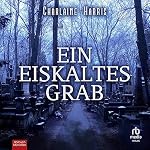 Ein eiskaltes Grab