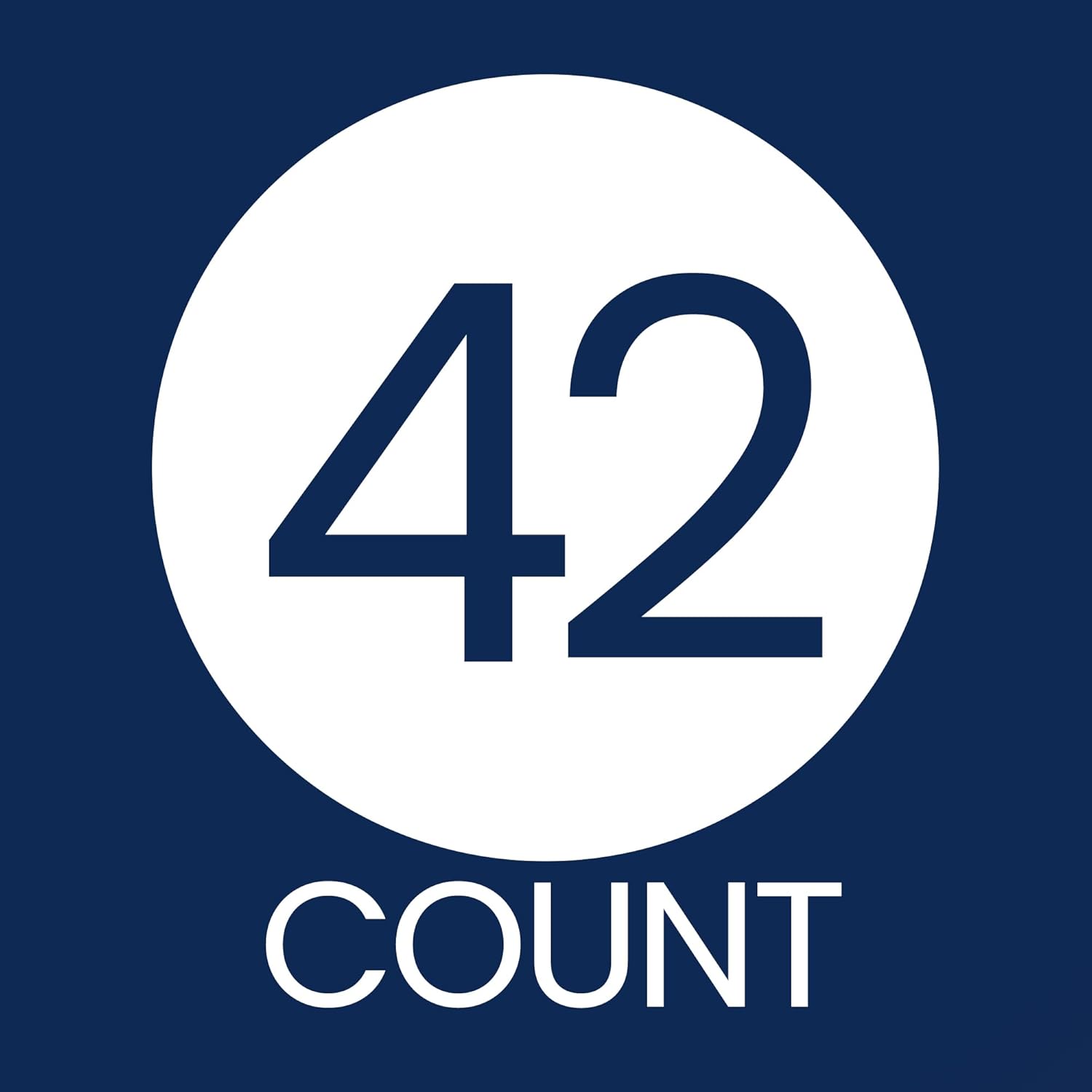 Silver Foil and Blue Christmas Tags, 42 Count, Blue and Silver Christmas Tree Gift Wrap Tags, Self Adhesive Peel and Stick Christmas Gift Tags - Image 6