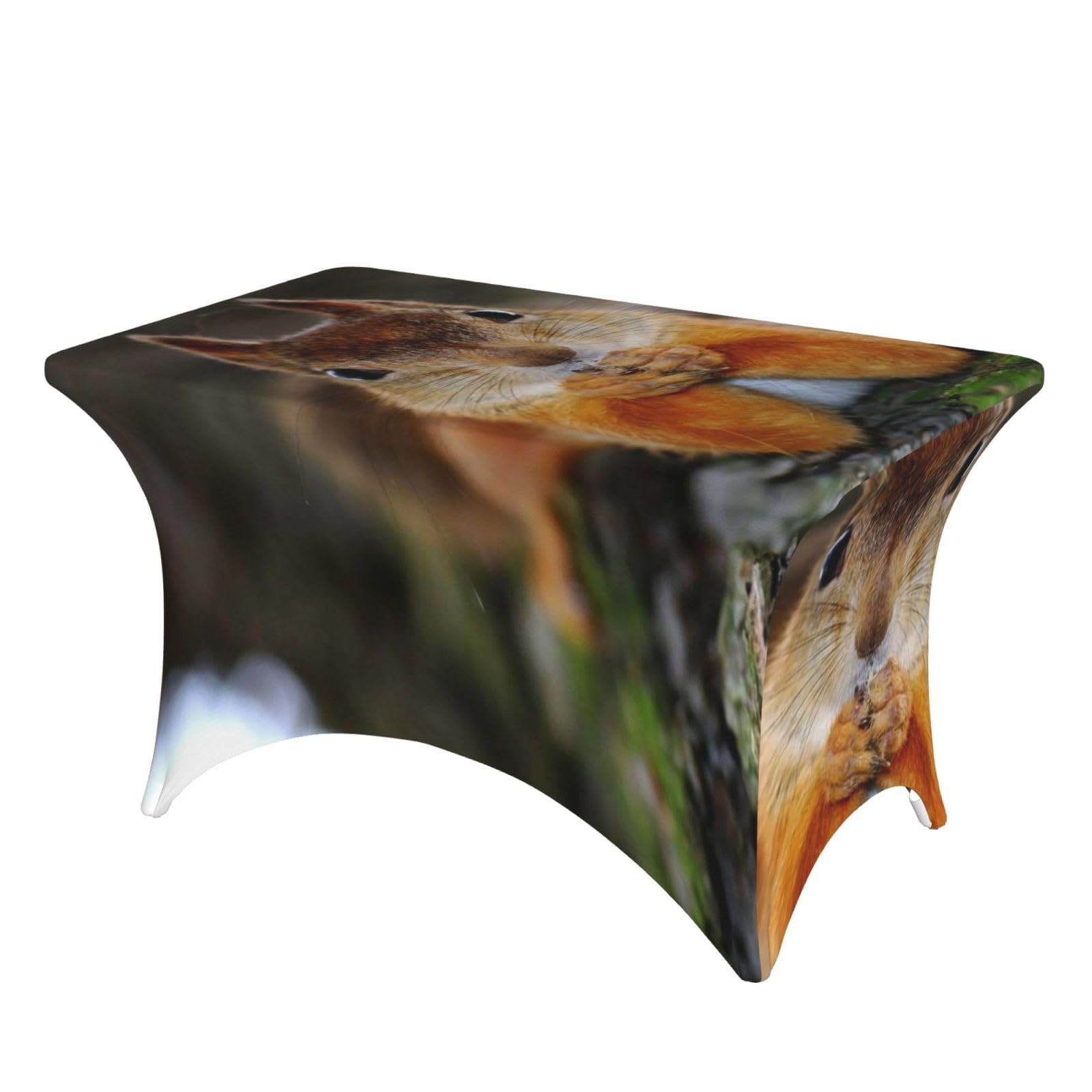 Dcehgew Funny Squirrel 4Ft Spandex Rectangular Table Cloth, Printed Fitted Elastic Tablecloths Washable Table Cover For Event, Wedding, Banquet & Party