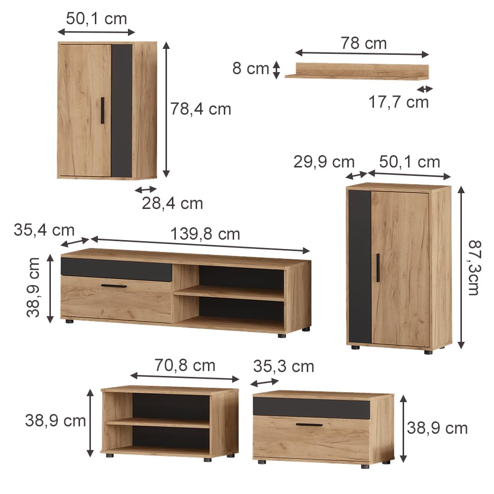 Vicco Parete attrezzata soggiorno Berno, Rovere dorato/Antracite, Set da 6 pezzi