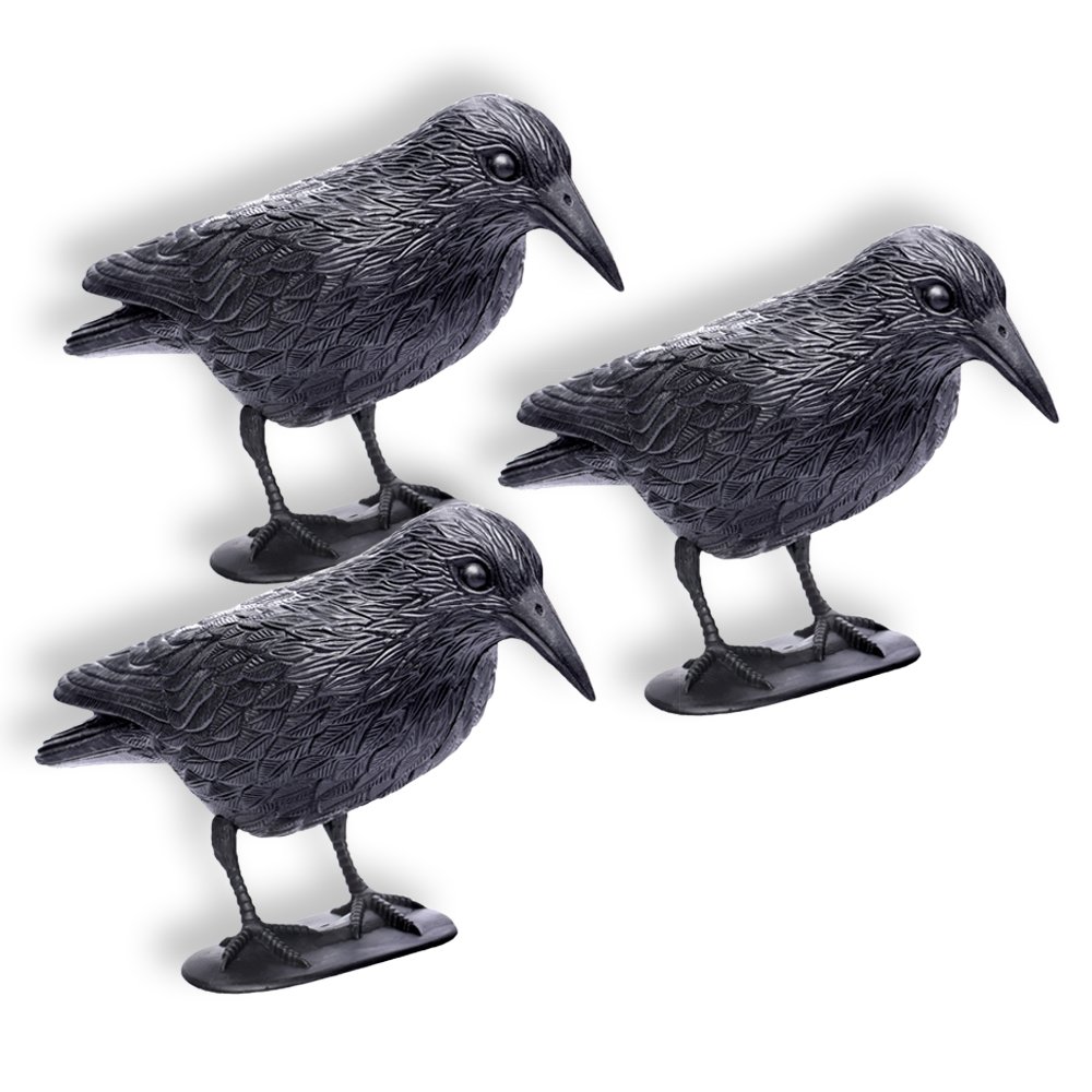 Schramm® - Set di 3 corvi spaventapasseri seduti in plastica, colore: nero