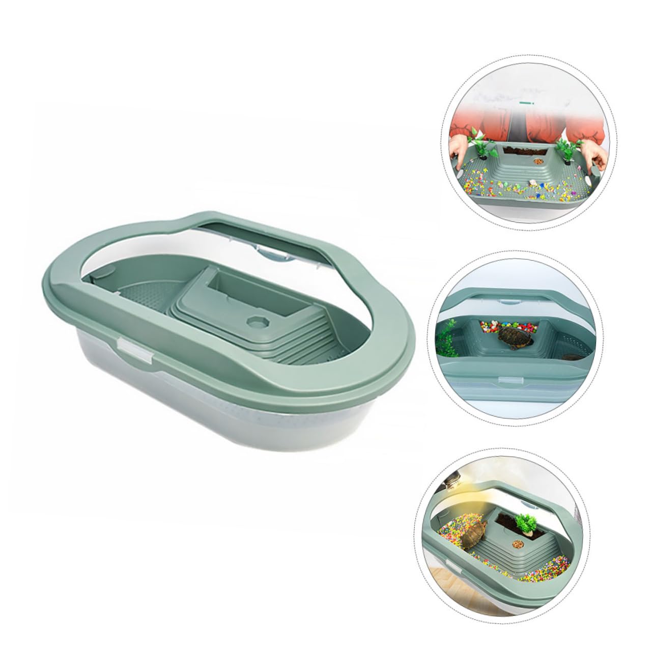 Terrario per Tartarughe in Plastico Verde, Habitat con Piattaforma per Basking, Area di Alimentazione e Nuoto, Fondo Antiscivolo | 5 Zone Interne, Area Anti-scivolo e Zona Alimentazione, Plastico Verde per Rettili
