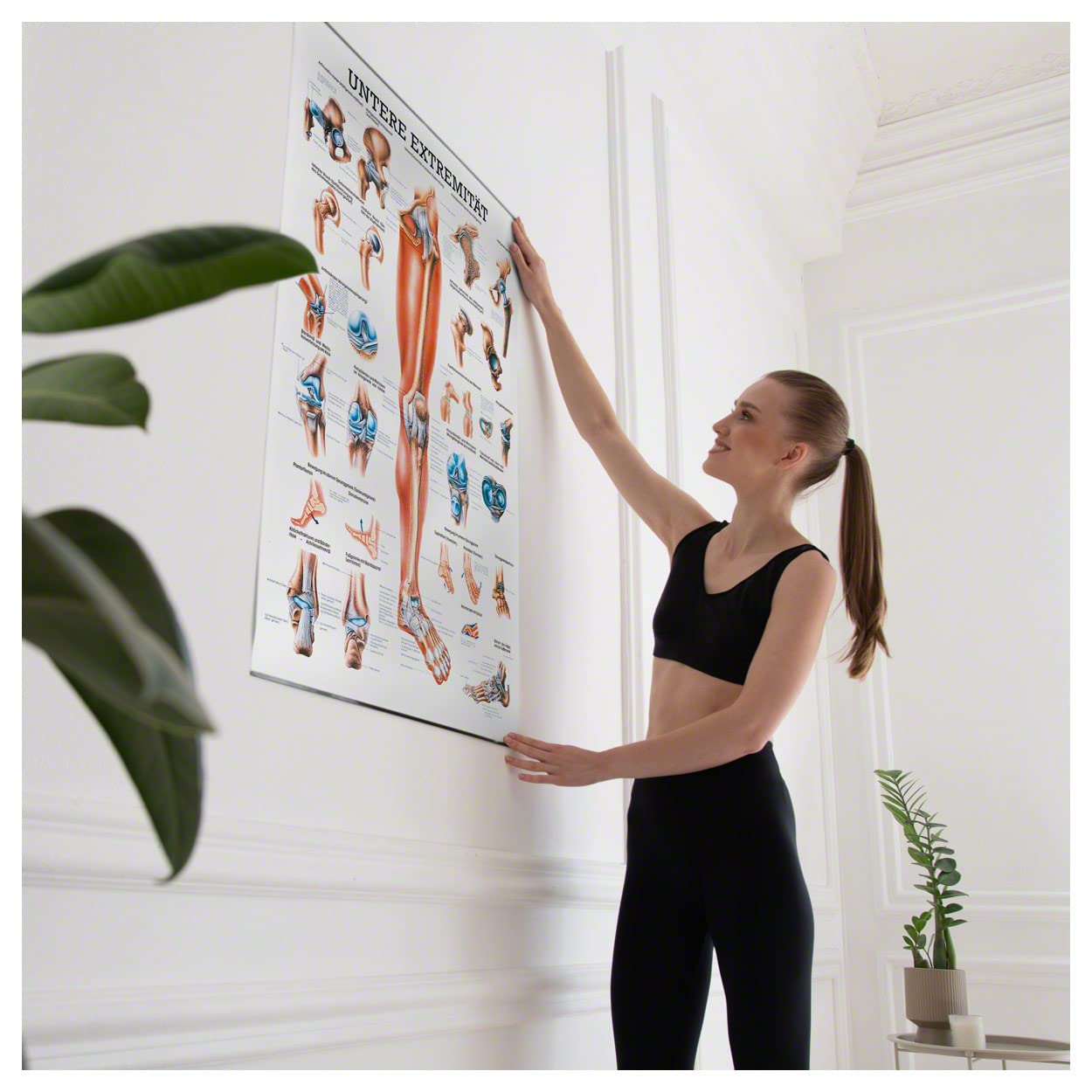Rüdiger Untere Extremität Lehrtafel Anatomie 100x70 cm medizinische Lehrmittel