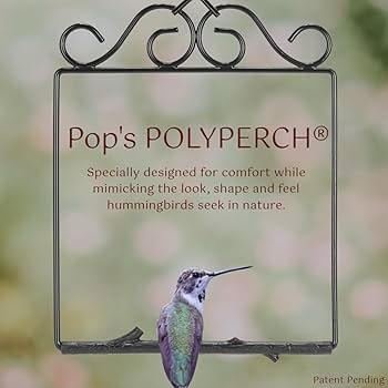 HUMMING BIRD アウトドア用品 Amazon.com : Pop's Birding Hummingbird Swing, USA Made