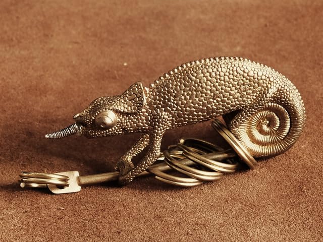 Amazon.co.jp: 真鍮 キーホルダー（カメレオン）爬虫類 トカゲ とかげ