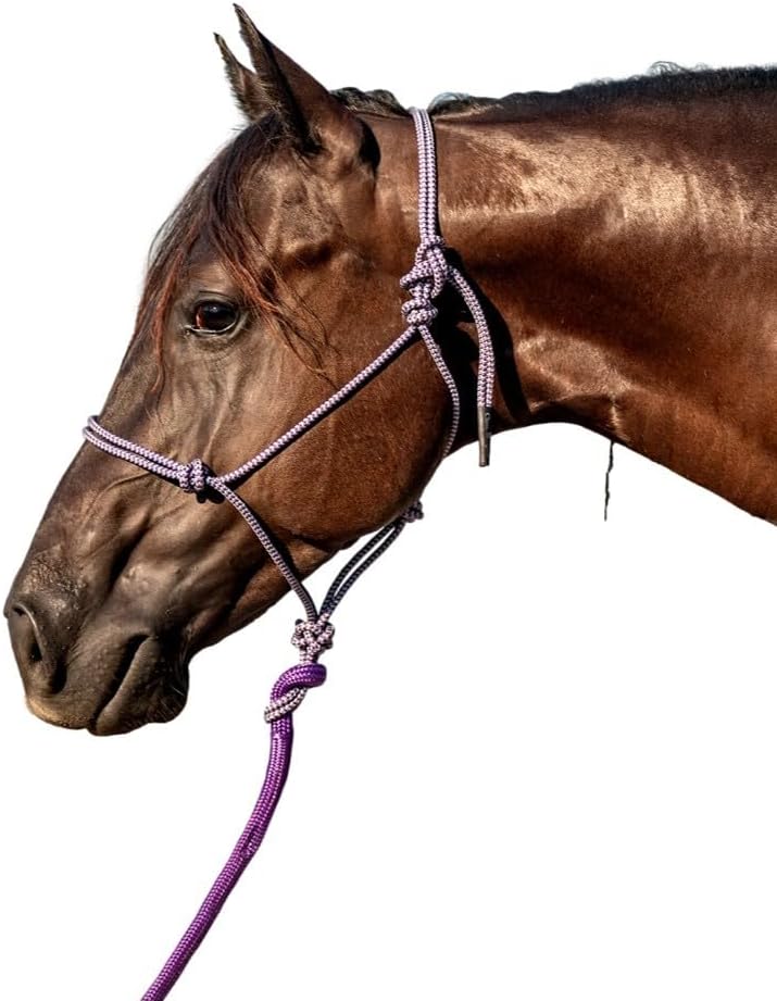 Classic Equine Halter with 9ft Leadrope Purplegrey