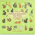 Trader Joe's Advent Calender for Cats Salmon & Dried Seaweed Recipe Cat Treats Christmas Holiday Pet Calendar - 5.11 oz. Box - product image