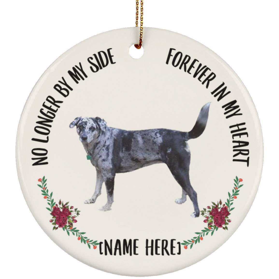 Catahoula Leopard Dog Blue Merle