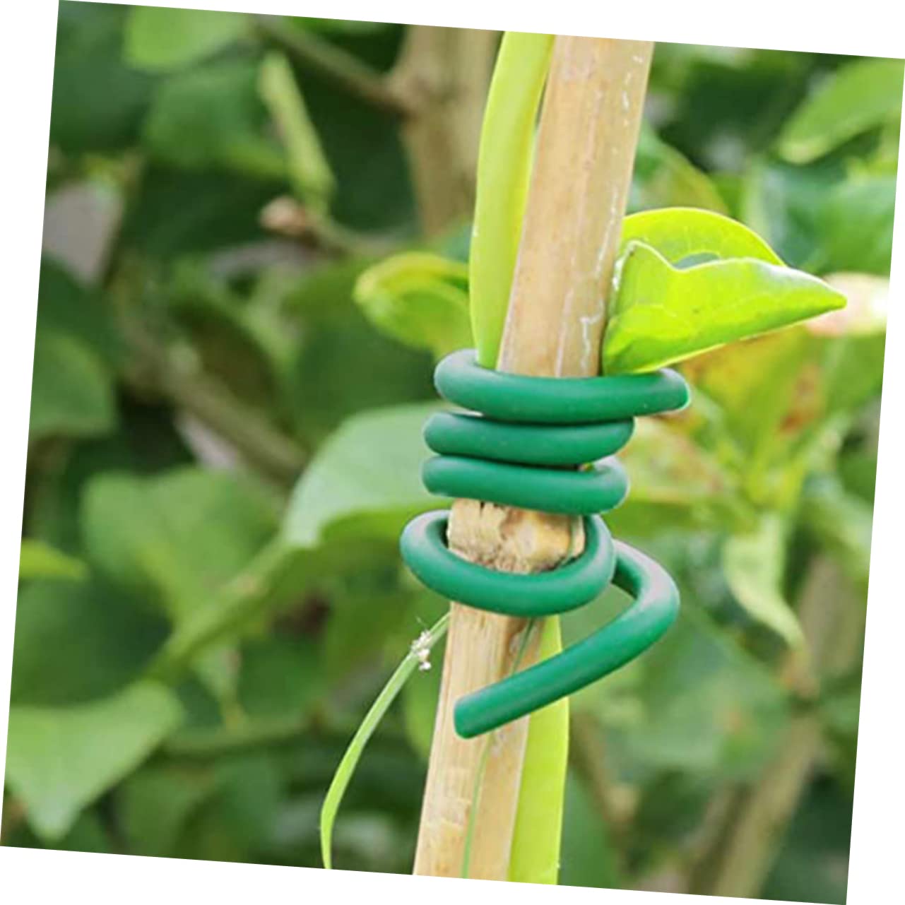 Gartenbindeband 2 Rollen aus TPR und Eisen für Sträucher und Blumen