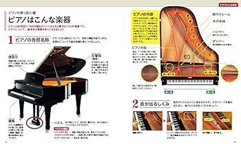 DVD一番やさしい すぐに弾けるピアノ・レッスン | 丹内真弓 |本