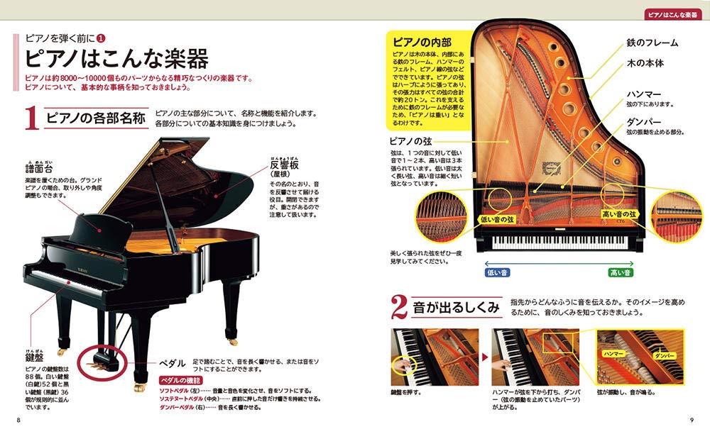 Amazon.co.jp: 丹内真弓: 本、バイオグラフィー、最新アップデート