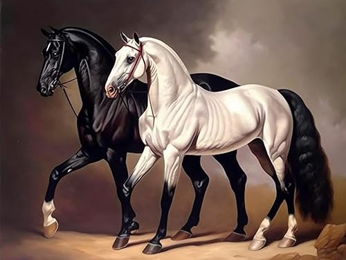 Pintura por números para adultos animales, pintura al óleo DIY caballo blanco y negro pintura acrílica por números para niños adultos principiantes