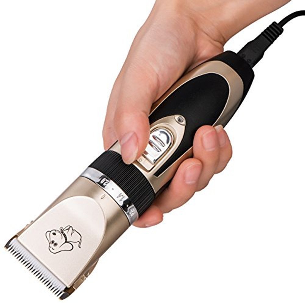 BaoRun Tondeuse professionnelle en céramique pour animaux de compagnie avec accessoires Rechargeable Tondeuse pour poils d'animaux domestiques Tondeuse électrique pour chiens, chats Or