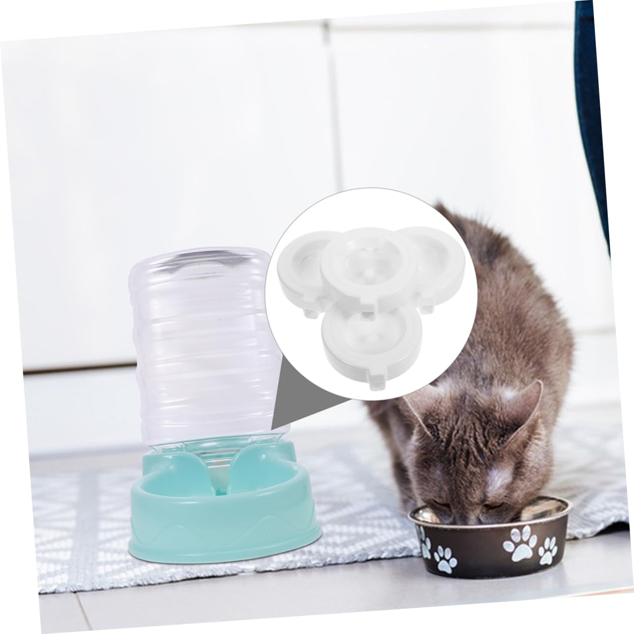 8stücke Ersatzfilter Für Katzen Und Hundetrinkbrunnen Aktivkohlefilter Für Sauberes Wasser Kompatibel Mit Trinkspender Effektive Geruchs Und Verunreinigungsentfernung