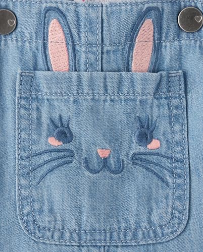 Image of The Children's Place Baby Girls' And Toddler Short Sleeve Shirt and Skirtall 2 Piece Outfit