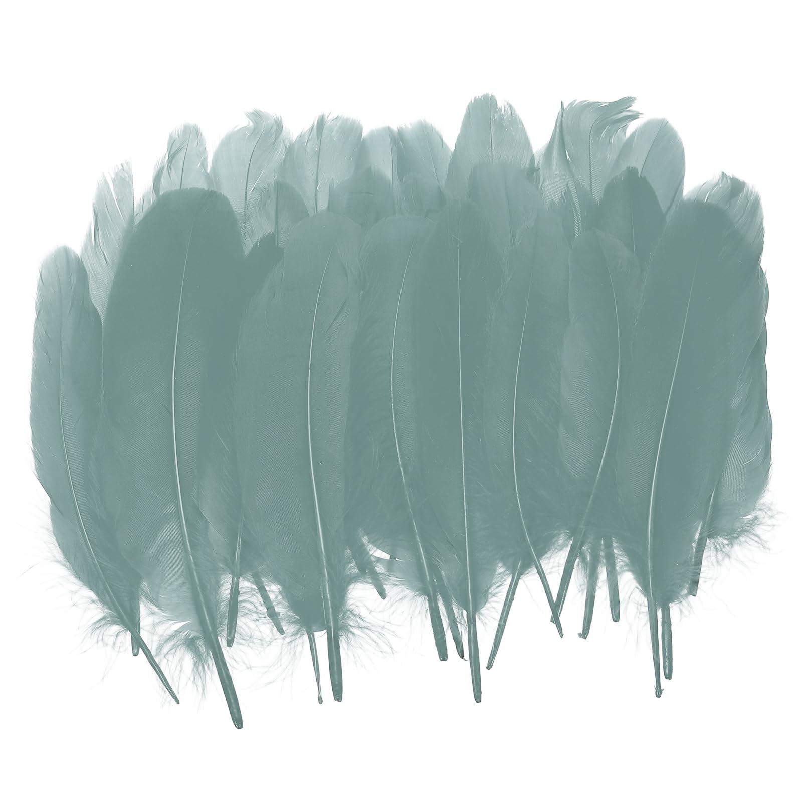 PATIKIL 4-7" Natural Goose Feathers Bulk for Crafts, 300 Pack Long Assorted Colors Feathers Decor for DIY Dream Catchers, Hats, Garland, Vase Supplies Adults Crafting, Pure Green