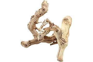 12-Inch Manzanita Branch by Koyal Wholesale