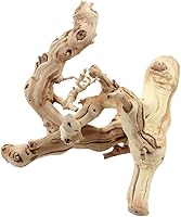 Koyal Wholesale 12-Inch Grapewood Branch - Natural Reptile Terrarium Climbing Perch, Basking Spot & Dry Habitat Decor