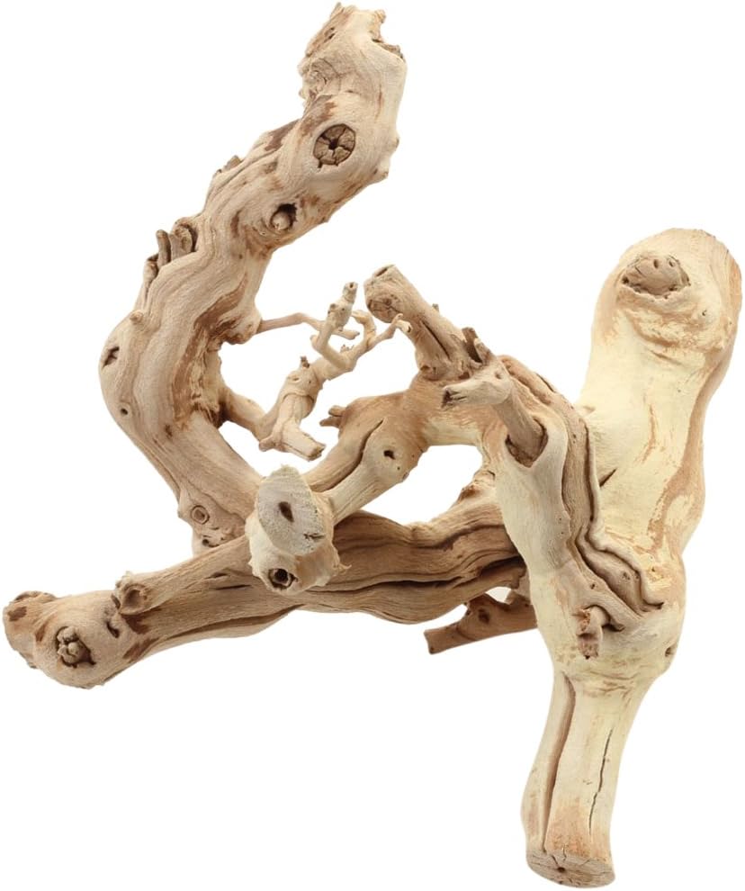 Grapewood Branch, 12-Inch