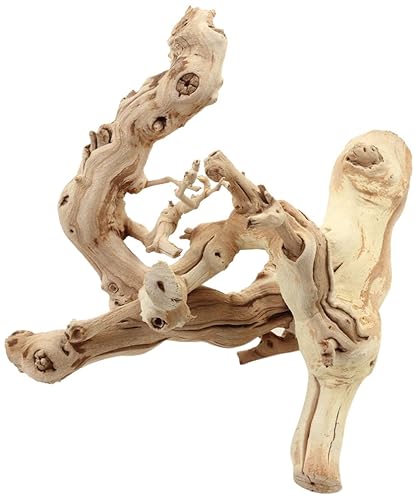 Koyal Wholesale Grapewood Branch, 12-Inch