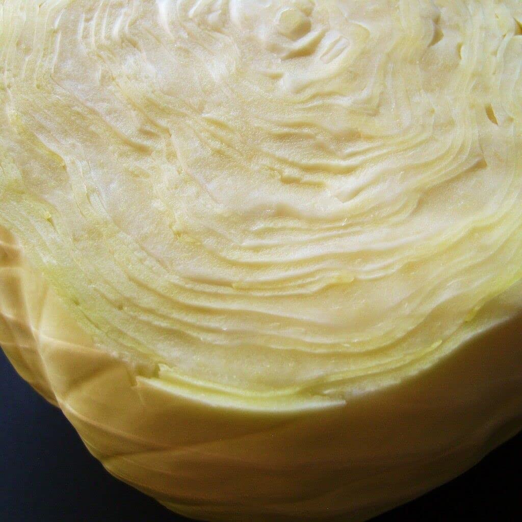 12 Seeds of Cabbage Stonehead F1 Hybrid