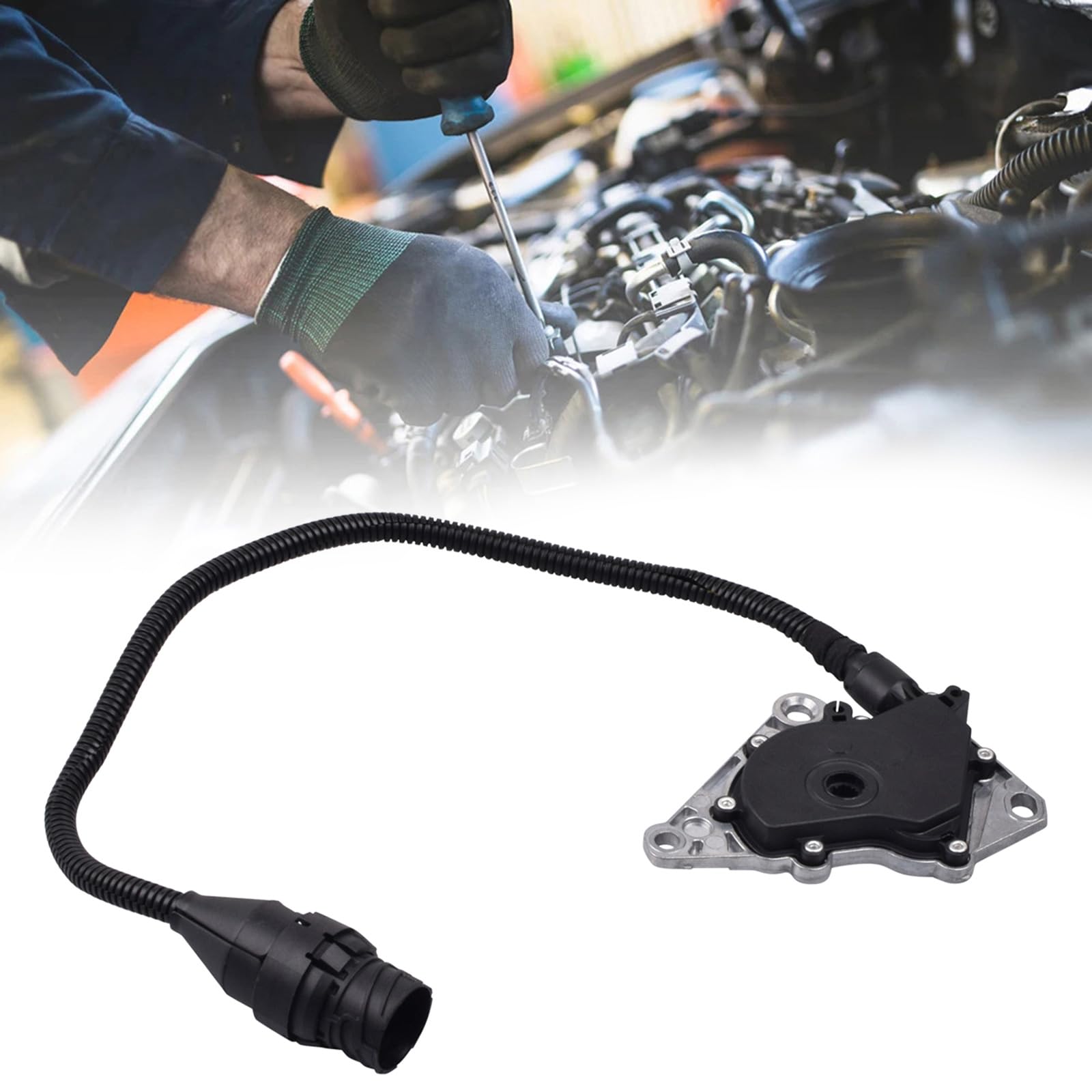 24107512755 Getriebeschalter für A4S-440Z 5HP-24 sorgen für eine effiziente Signalübertragung und Widerstandsfähigkeit gegenüber extremen Bedingungen Temperaturbeständige Schalter