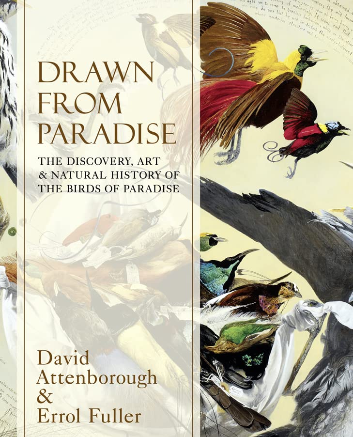 Drawn from Paradis: The Natural History, Art and Discovery of the Birds of Paradise with Rare Archival Art