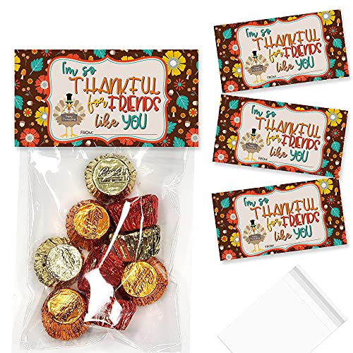 Sacs de friandises de Thanksgiving hermétiques pour conserver la fraîcheur des biscuits