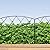 Thealyn Decorative Garden Fence 24 in (H) x 10 ft (L), Dog Rabbit Pet Fence Animal Barrier, Outdoor Rustproof Metal No Dig Fencing Border for Yard Patio Flower Bed
