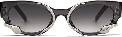 Trendy Sunglasses for Women Men Vintage Narrow Cateye Metal Snake Sunnie Y2k Accessories AP3621