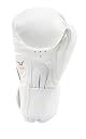 Invincible Solor Activated Amateur Training Gloves gallery image